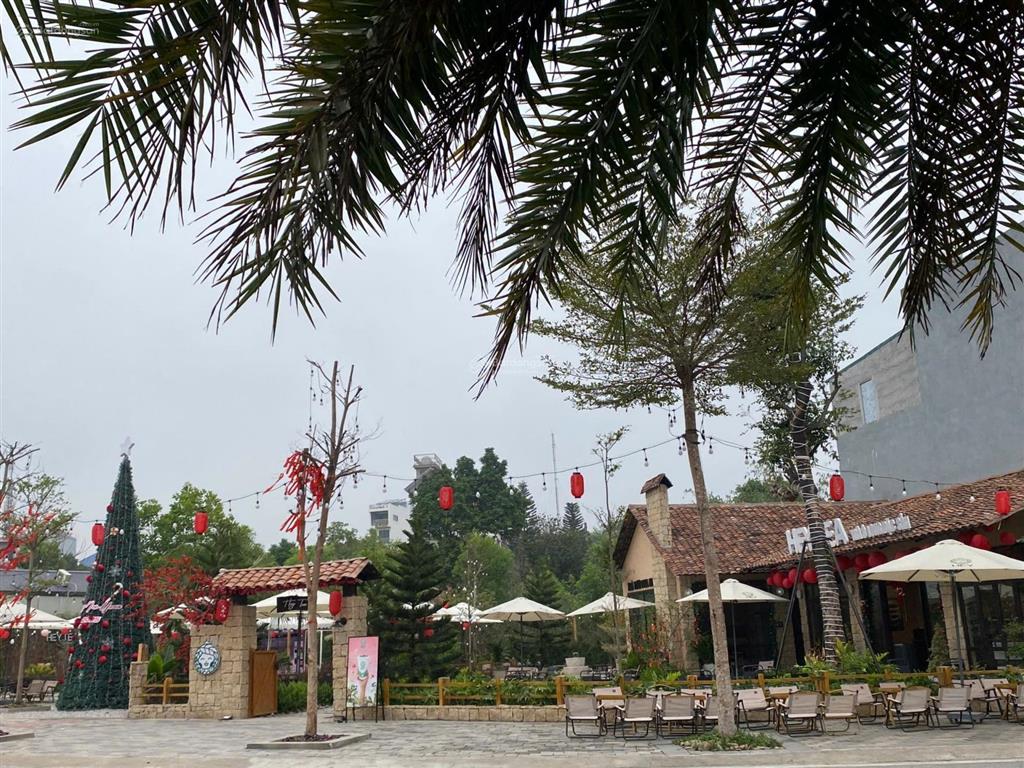 Chính chủ em bán đất dự án phố thắng central park kđt phía nam hiệp hòa