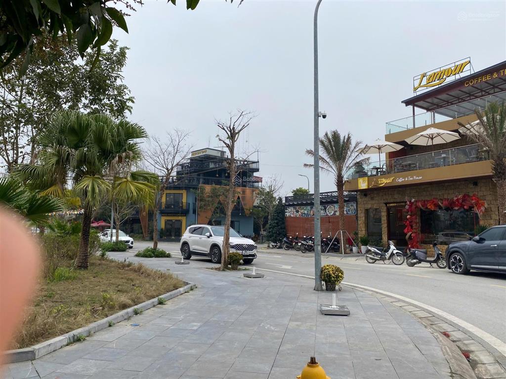 Chính chủ em bán đất dự án phố thắng central park kđt phía nam hiệp hòa