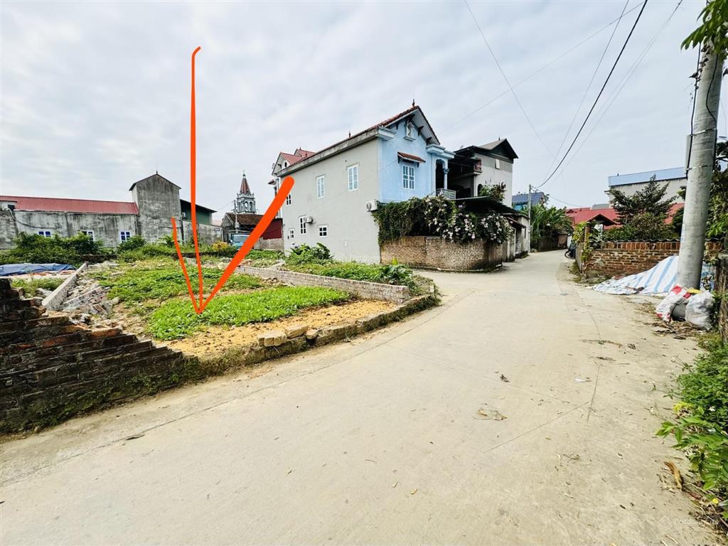 Chính chủ gửi bán 100m2 đất ở thôn xuân dục, xã tân minh, sóc sơn, hà nội