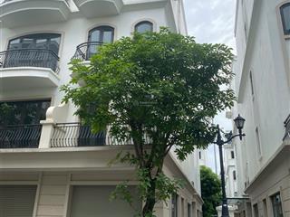 Cơ hội đầu tư giá tốt shophouse xẻ khe 84m phân khu sao biển vinhomes ocean park 2