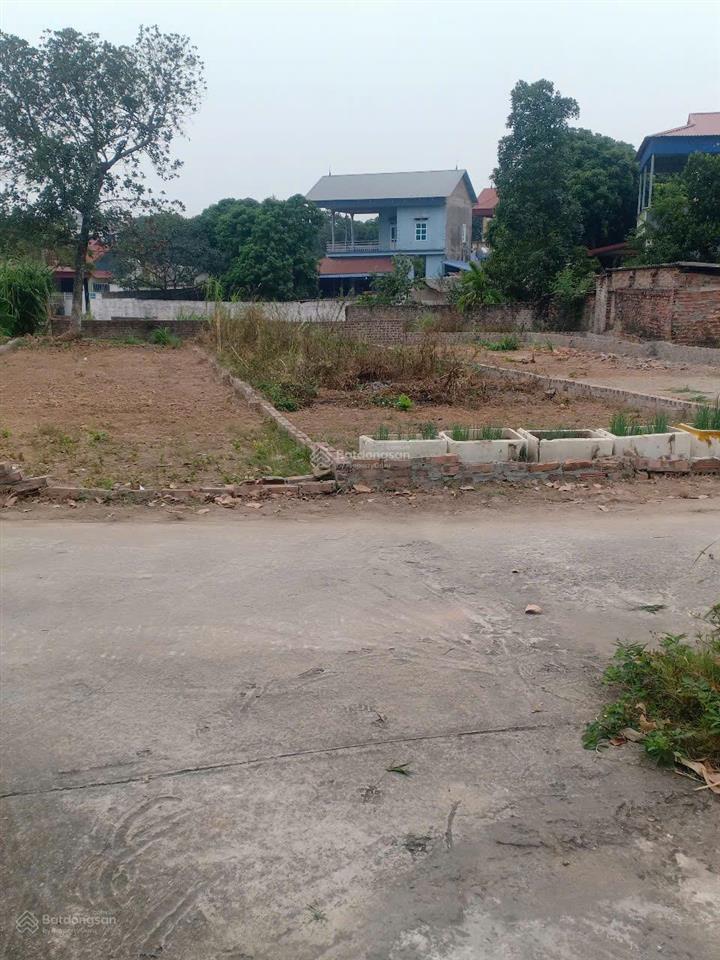Chính chủ bán đất thôn vụ bản gần ubnd xã minh trí  (huyện sóc sơn cũ) xã kim anh  hà nội mới