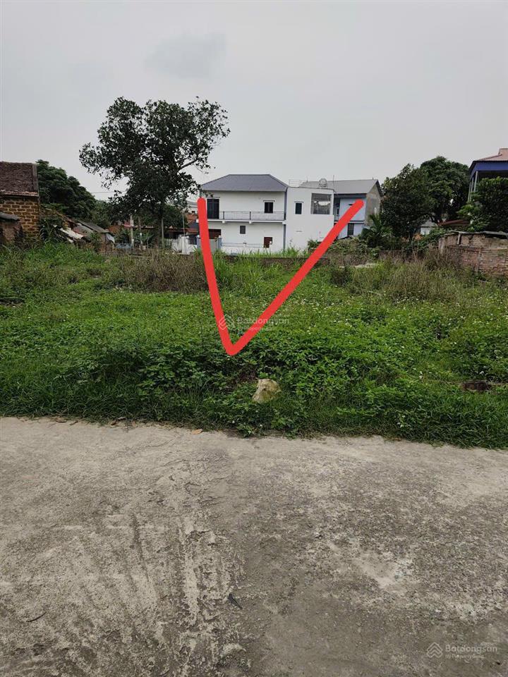 Chính chủ bán đất thôn vụ bản gần ubnd xã minh trí  (huyện sóc sơn cũ) xã kim anh  hà nội mới