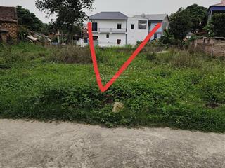 Chính chủ bán đất thôn vụ bản gần ubnd xã minh trí  (huyện sóc sơn cũ) xã kim anh  hà nội mới