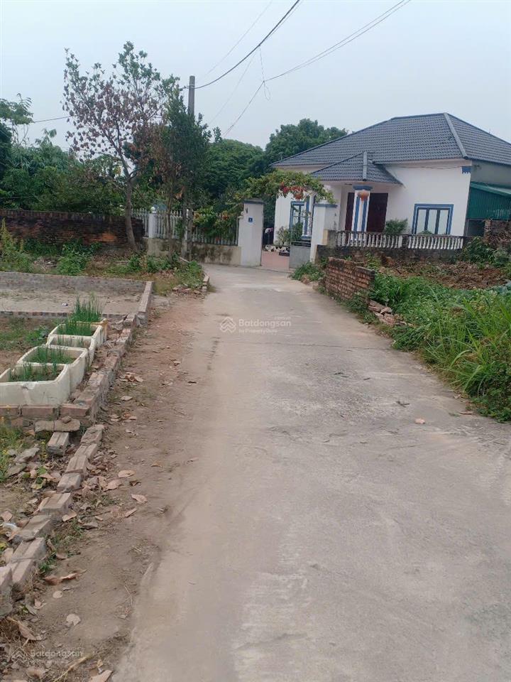 Chính chủ bán đất thôn vụ bản gần ubnd xã minh trí  (huyện sóc sơn cũ) xã kim anh  hà nội mới