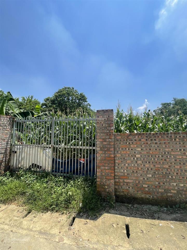 Bán mảnh đất 202m2 đất yên xuân, hà nội, sát kđt xanh villa, đối diện đh quốc gia, sổ đỏ chính chủ