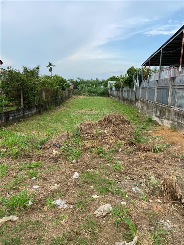 Chính chủ bán lô đất mặt tiền đường long chiến tân triều, vĩnh cửu, đồng nai