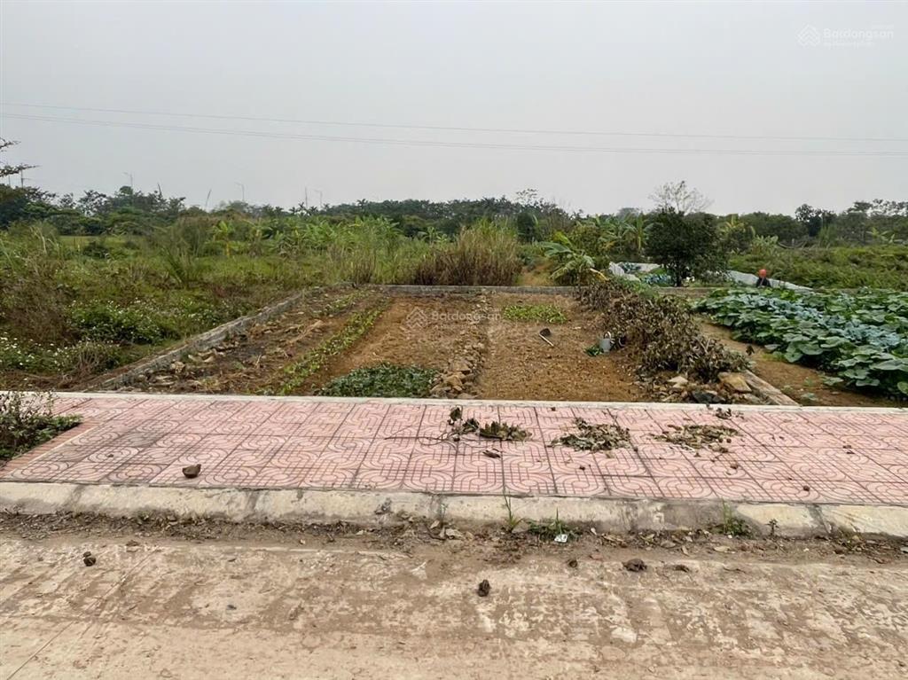 Chính chủ bán đất phân lô đấu giá phúc sơn  hà nội