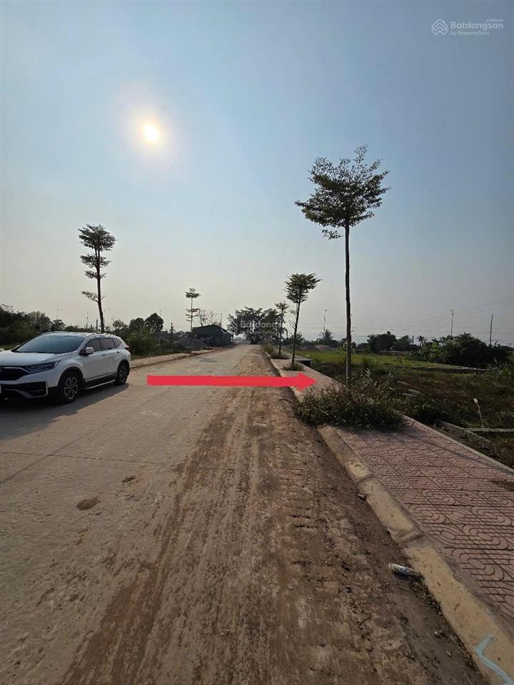 Chủ bán đất phân lô đấu giá phúc sơn  hà nội