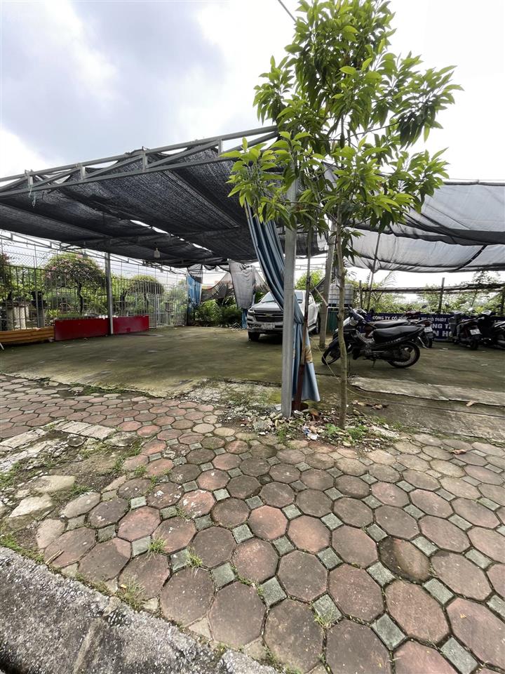 Cho thuê nhà 6 tầng thông sàn thang máy, mỗi tầng 60m2 tại kđt tây nam linh đàm
