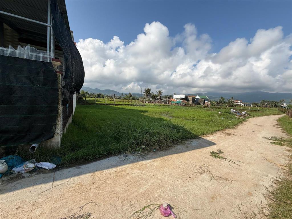 Bán đất biển ở chánh lợi, cát thành, diện tích 367,5m2, view đẹp, ngang 15m sâu 24,5m