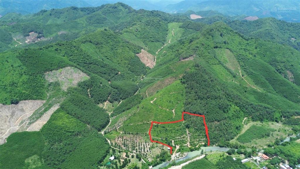 17.000m2 view giáp suối khánh thành  khánh vĩnh  bán nhanh chỉ 990tr