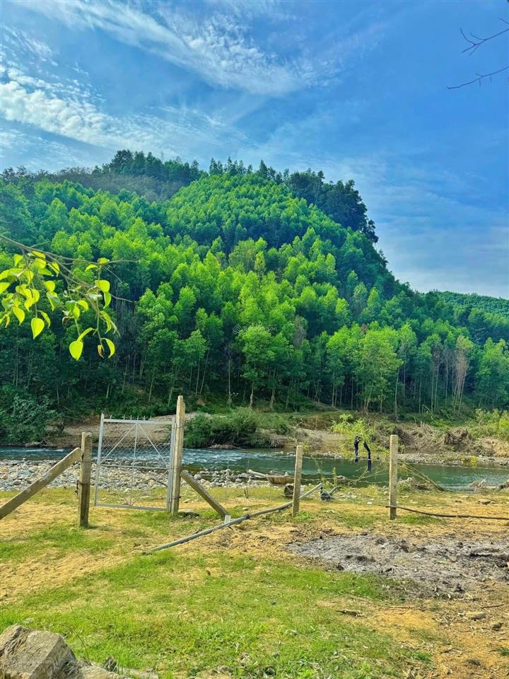 17.000m2 view giáp suối khánh thành  khánh vĩnh  bán nhanh chỉ 990tr