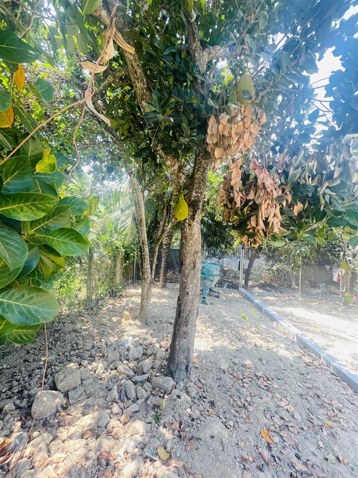 Bán đất thổ cư diên an  diên khánh đường ô tô, ngay khu dân cư