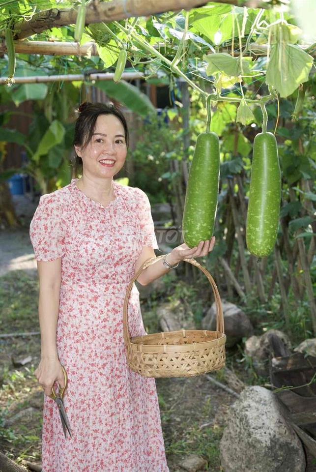 Vườn nghỉ dưỡng gần Sài Gòn - Chỉ nhận 1 nhóm/ngày
