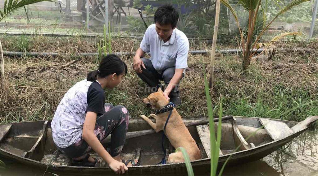 Vườn nghỉ dưỡng gần Sài Gòn - Chỉ nhận 1 nhóm/ngày