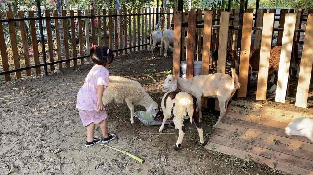 Vườn nghỉ dưỡng gần Sài Gòn - Chỉ nhận 1 nhóm/ngày