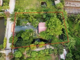 Bán đất có nhà vườn đường võ văn bích, xã bình mỹ quy hoạch khu dân cư toàn bộ, giá tốt