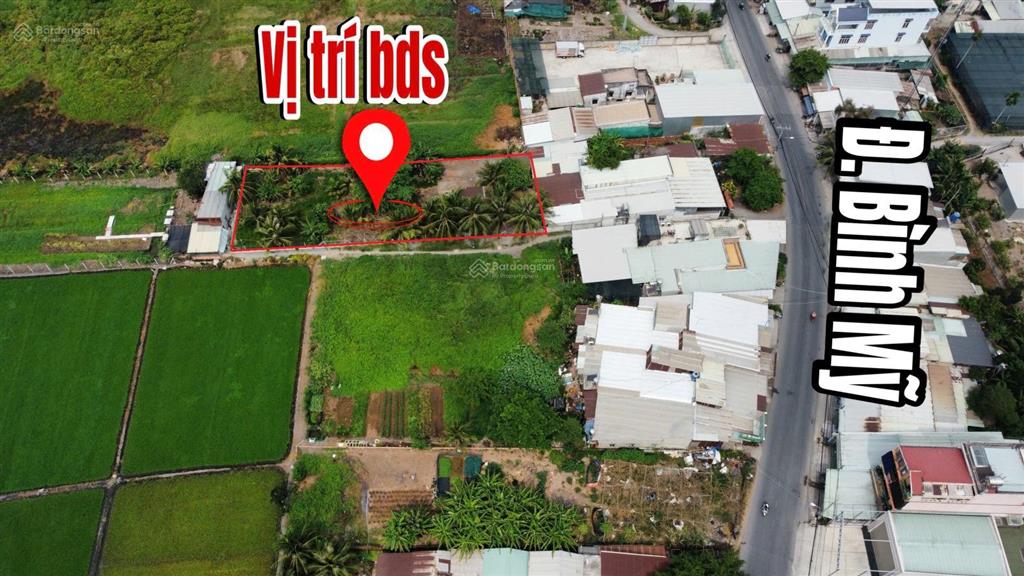 Lô đất vườn 1 sẹc ngắn đường bình mỹ xã bình mỹ, củ chi. 1101m2 mặt tiền rộng