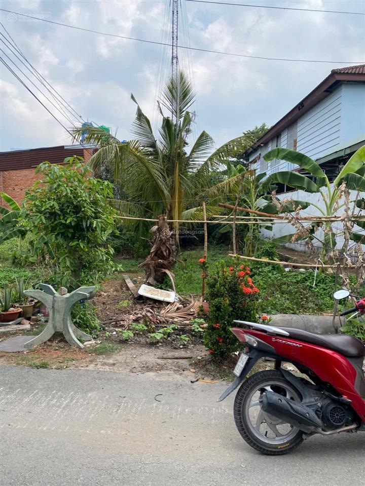 Lô đất đường nhựa, gần cầu rạch tra xã bình mỹ, 557m2 có 200m2 thổ cư giá tốt