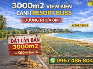 Siêu phẩm 60x50 mặt tiền đường nhựa 8m. 3000m2 có 500m2 ont view biển cạnh resort bliss nam hội an.