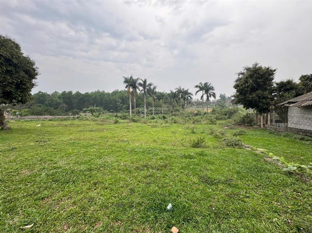 Gia đình cần bán lô đất 800m2 đất thổ cư