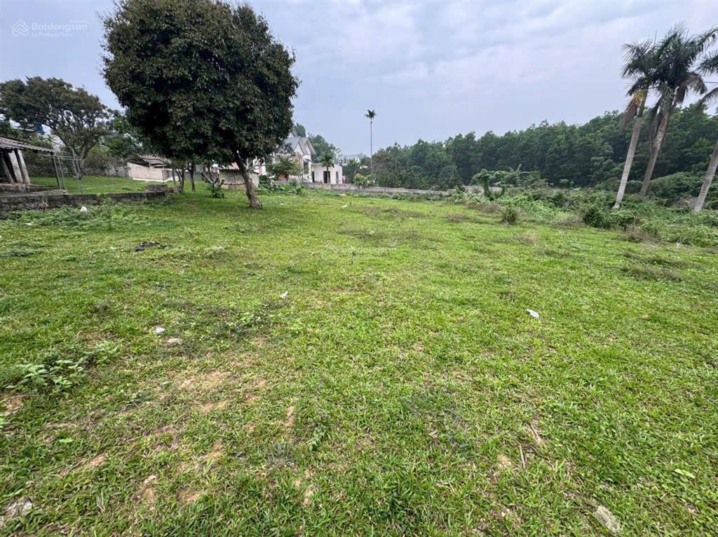 Gia đình cần bán lô đất 800m2 đất thổ cư