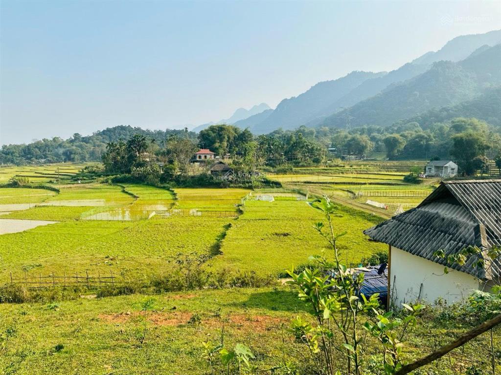 Bán lô đất 4000 mét có 400m tc, phần còn lại đất vườn tại tân lạc, hòa bình