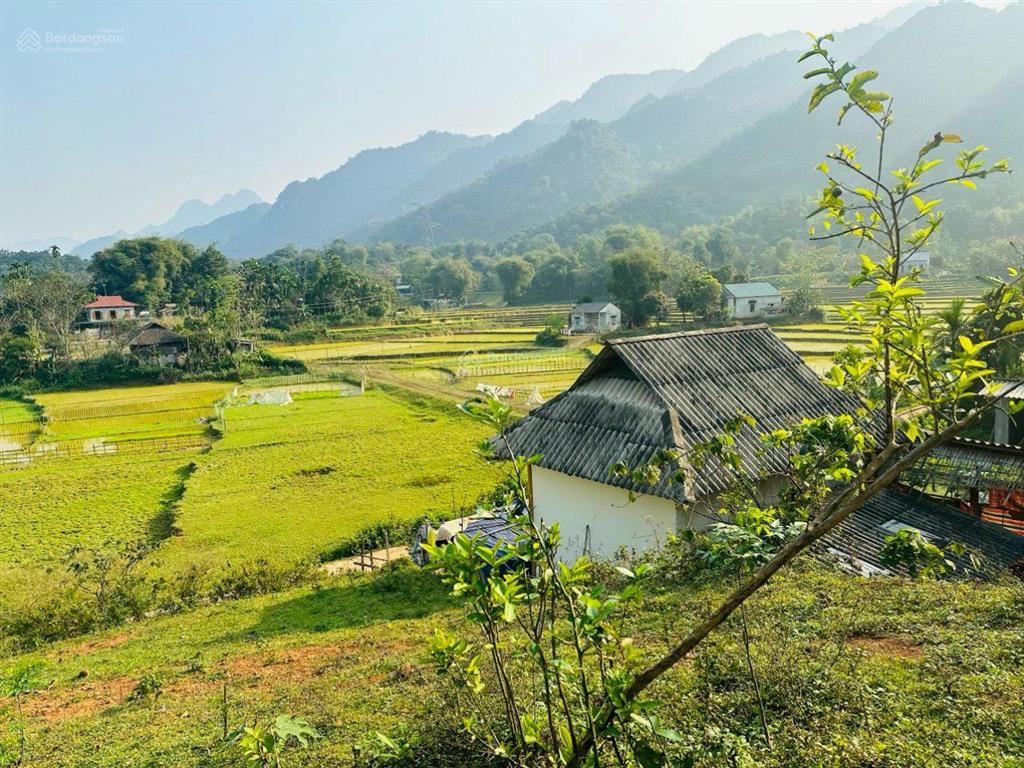 Bán lô đất 4000 mét có 400m tc, phần còn lại đất vườn tại tân lạc, hòa bình