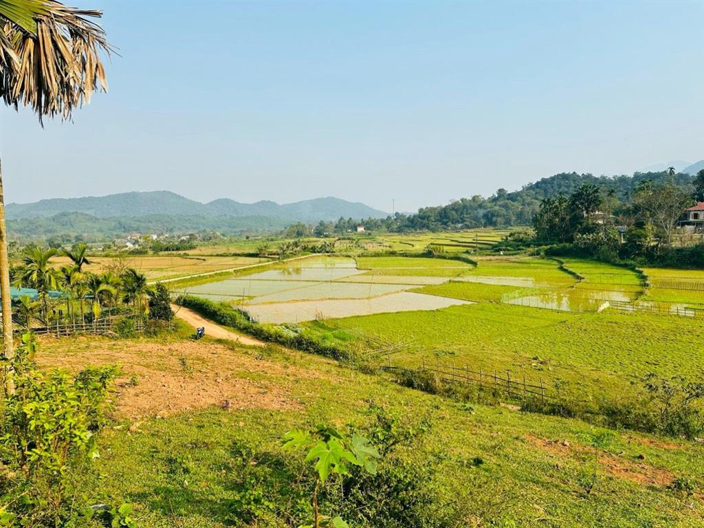 Bán lô đất 4000 mét có 400m tc, phần còn lại đất vườn tại tân lạc, hòa bình