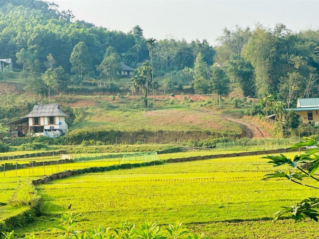 Bán lô đất 4000 mét có 400m tc, phần còn lại đất vườn tại tân lạc, hòa bình