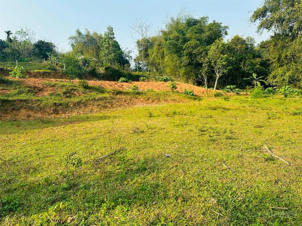 Bán lô đất 4000 mét có 400m tc, phần còn lại đất vườn tại tân lạc, hòa bình