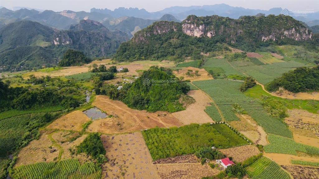 Bán lô đất view cực đẹp bám suối, view cánh đồng tại kim bôi, hòa bình