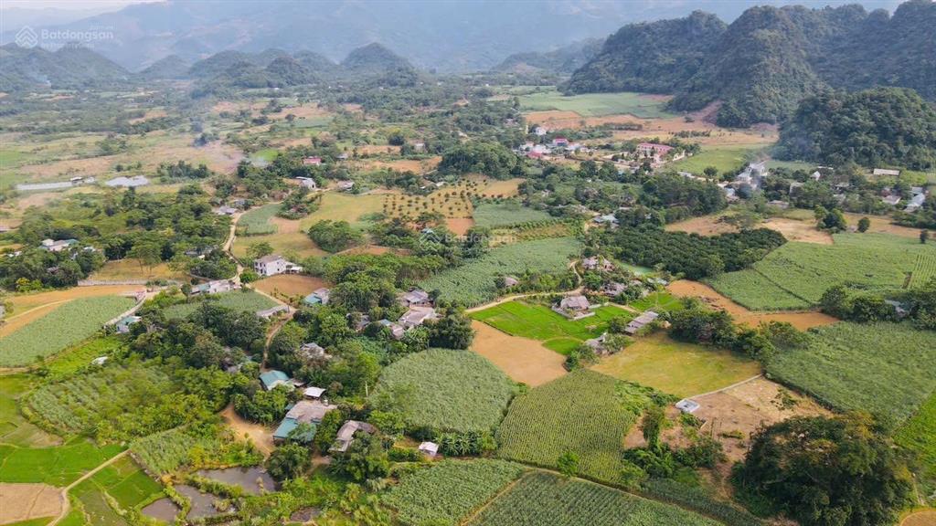 Bán lô đất view cực đẹp bám suối, view cánh đồng tại kim bôi, hòa bình