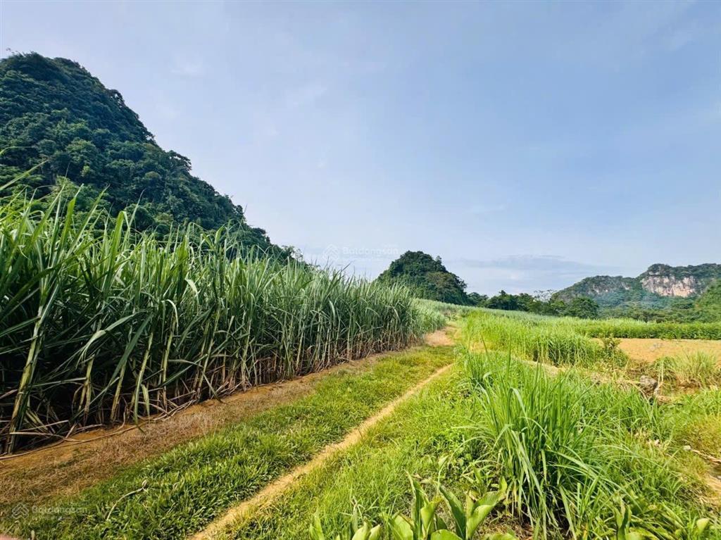 Bán lô đất view cực đẹp bám suối, view cánh đồng tại kim bôi, hòa bình