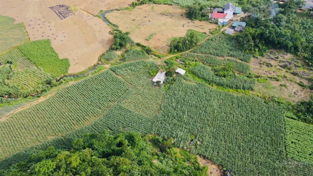 Bán lô đất view cực đẹp bám suối, view cánh đồng tại kim bôi, hòa bình