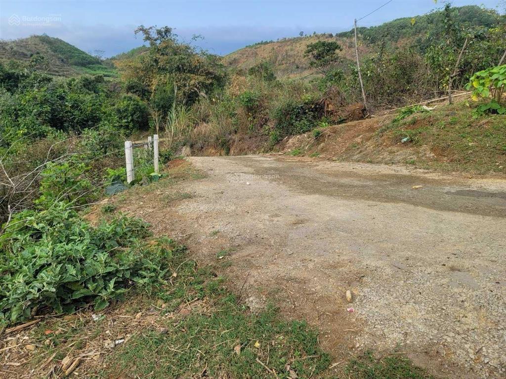Chủ gửi bán đất 2909,7m², trong đó có 300 m² đất ở, còn lại đất trồng cây lâu năm