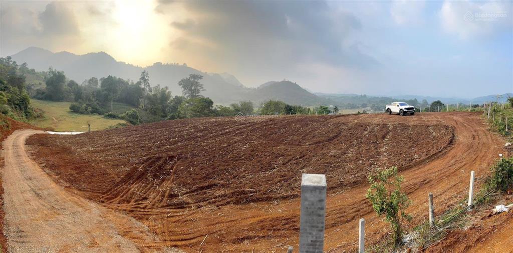 Bán lô đất nhiều thổ cư  view đồi đẹp  hợp phong  cao phong  hòa bình