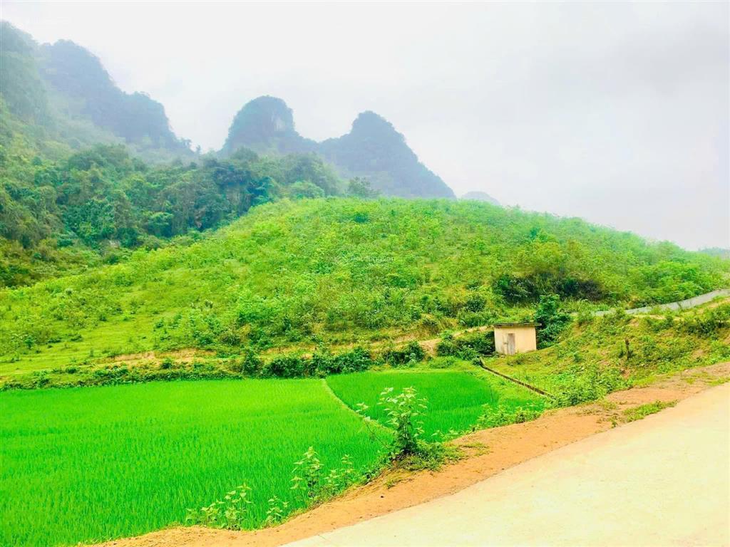 Đất kim bôi đẹp giá rẻ gần dự án của sun group