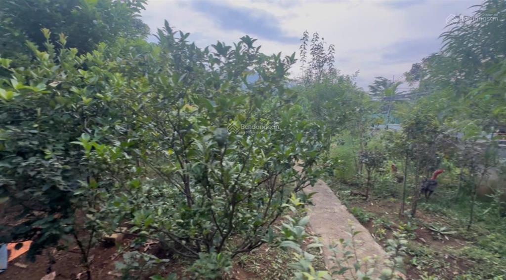 Bán nhà riêng có khoáng nóng tại kim bôi, không gian sống lý tưởng
