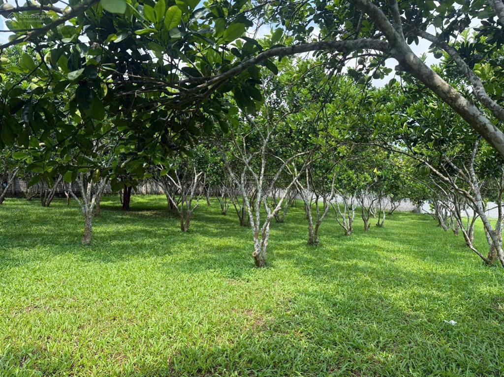 Sở hữu lô đất view hồ hiếm có tại kim bôi hòa bình