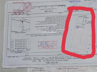 Cần bán đất diện tích siêu lớn khu vực tóc tiên ngay cao tốc. hơn 15000m2 (100x180). 390m2 thổ cư