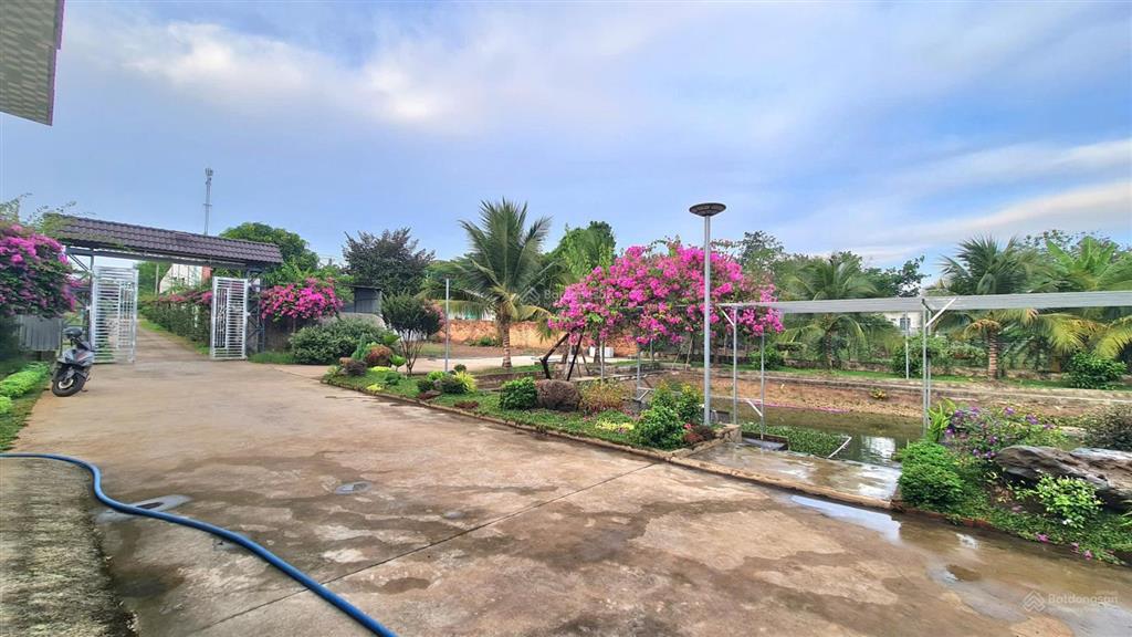 Chủ cần tiền bán rẻ khu view nhà vườn nghỉ dưỡng 2155m2. mặt tiền đường tl764, sông ray, đồng nai