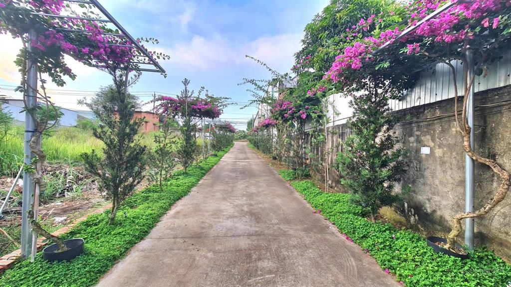 Chủ cần tiền bán rẻ khu view nhà vườn nghỉ dưỡng 2155m2. mặt tiền đường tl764, sông ray, đồng nai