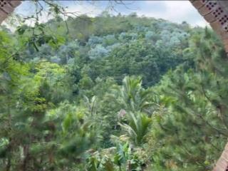 Bán gấp đất 5933m mặt tiền đường ở lộc nam lâm đồng, bán nhanh giá tốt 3ty5