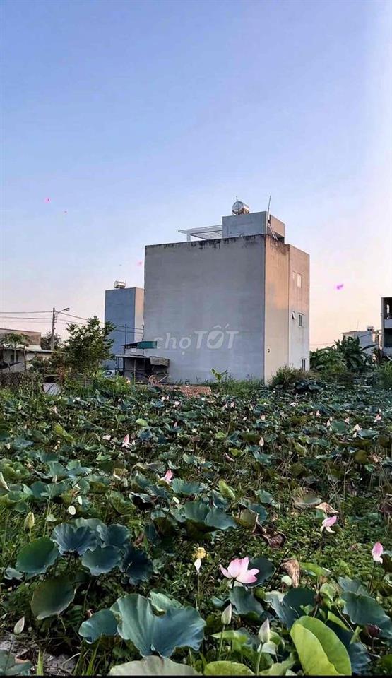 Lô đất 63m2 rẻ nhất trục Bưng Ông Thoàn, Phú Hữu, Quận 9, giá tốt