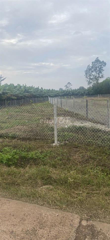 Bán 1623m2 đất xã Sông ray phủ hồng