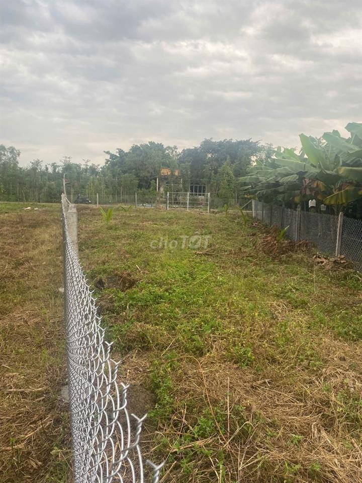 Bán 1623m2 đất xã Sông ray phủ hồng