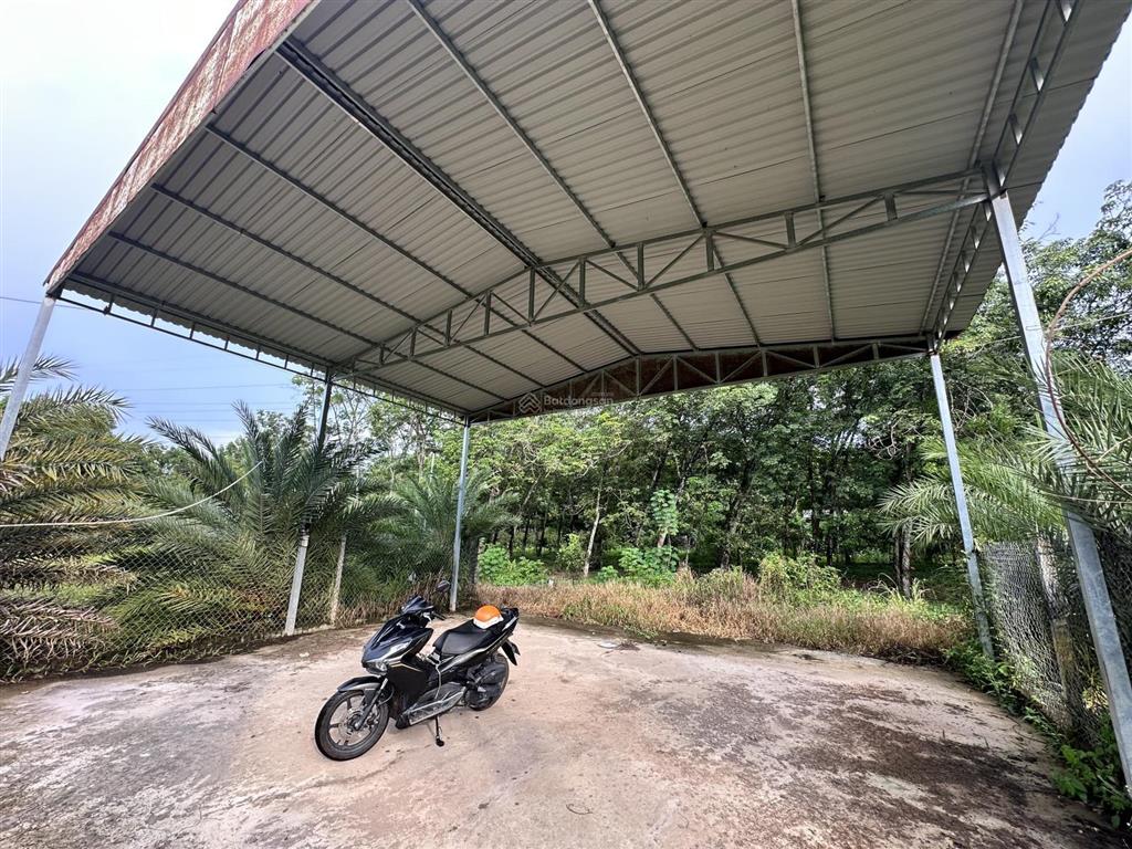 Bán đất vườn cách chợ bến cát 1.5km