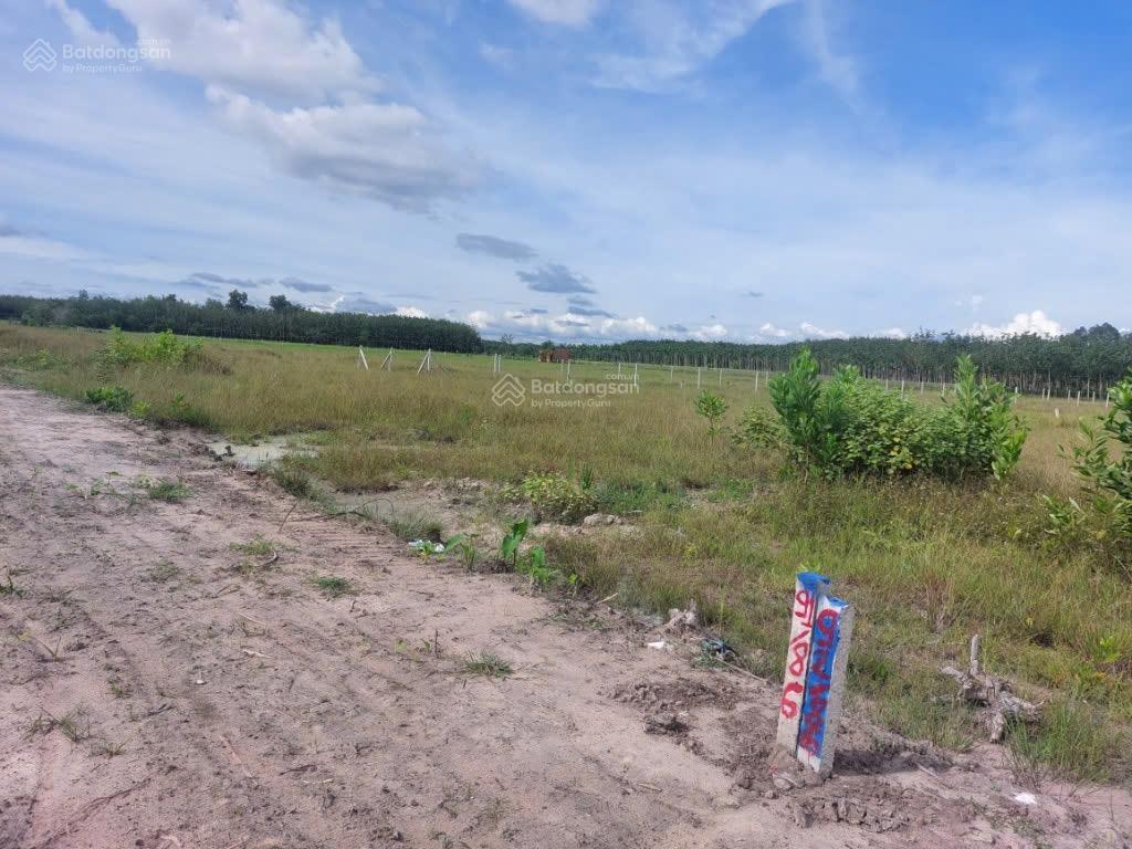 Bán đất ở đường bờ kênh, xã thạnh bình, huyện tân biên, tây ninh, 580 triệu, 1110 m2, view đẹp