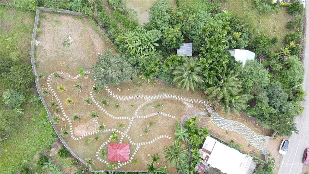 Bán đất tại hương lộ 62, khánh phú, 2,95 tỷ, 1639 m2, giá siêu hời!